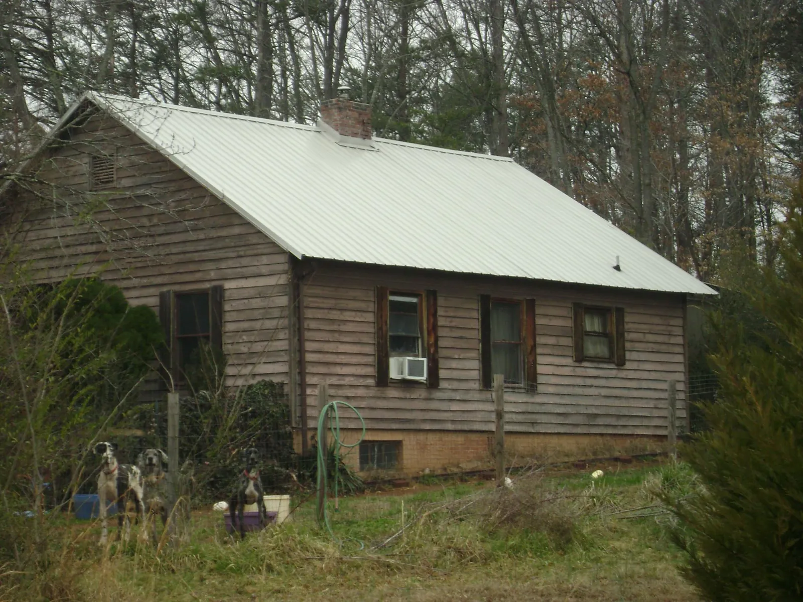 White metal roof on an old wood sided farmhouse, from a Asphalt Shingle Roof Repair job in Fort Ripley